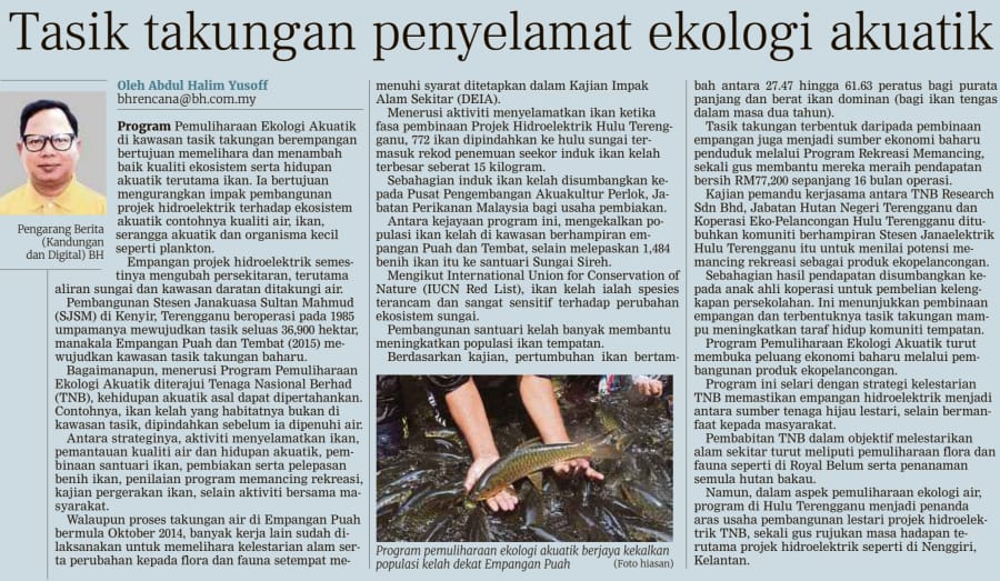 Dynamic Content Image